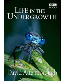 David Attenborough: Life in the Undergrowth