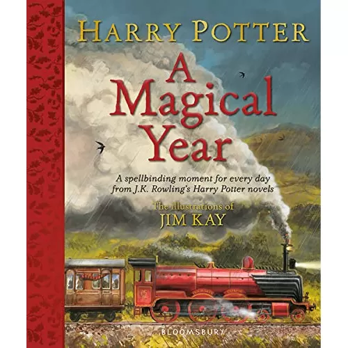 Harry Potter: A Magical Year (Hardback) [Illustrated Edition]