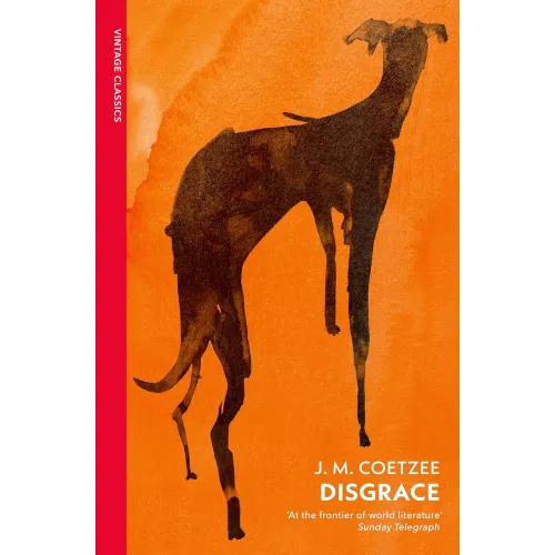 J.M. Coetzee: Disgrace (A BBC Radio 4 Good Read)