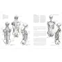 Anatomy for the Artist - Фото 12