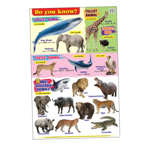 Education Charts Do You Know? Плакат