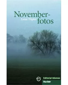 Erzählungen: Novemberfotos - Buch