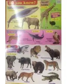 Education Charts Do You Know?