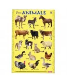 Education Charts Farm Animals 