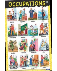 Education Charts Occupations