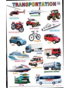 Education Charts Transportation