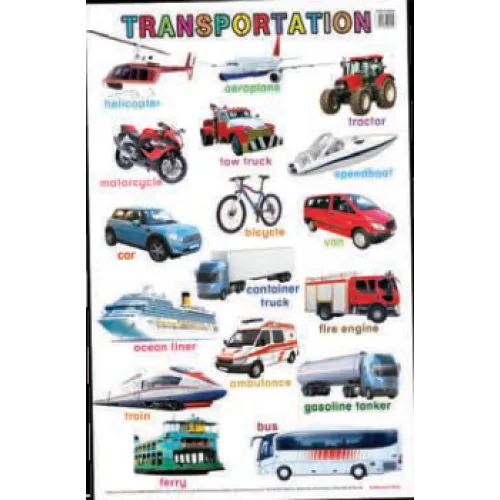 Education Charts Transportation