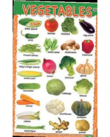 Education Charts Vegetables