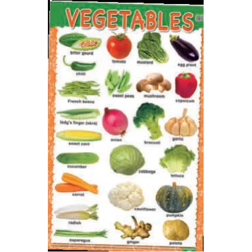 Education Charts Vegetables Плакат