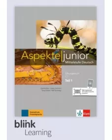 Aspekte junior C1.1 Übungsbuch - Digitale Ausgabe für Unterrichtende
