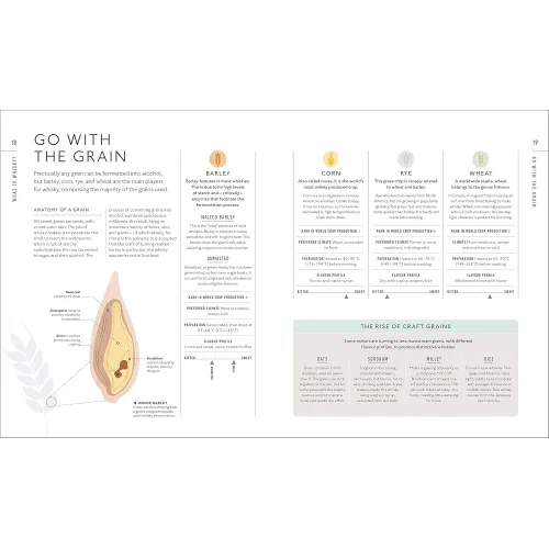 A Tasting Course: Whisky - Фото 3
