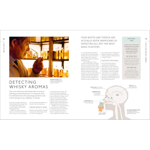 A Tasting Course: Whisky - Фото 4