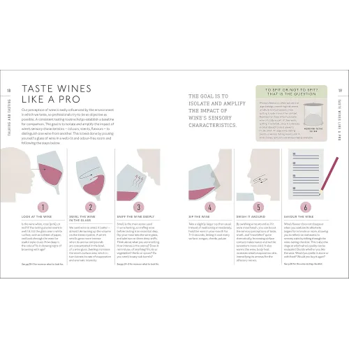 A Tasting Course: Wine (new ed.) - Фото 2
